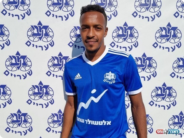 דסאלין איילה